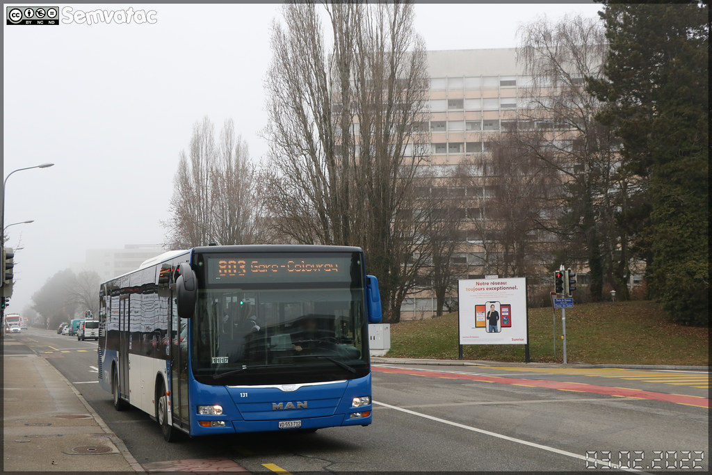 Man Lion’s City – TPN (Transports Publics de la région Nyonnaise) n°131