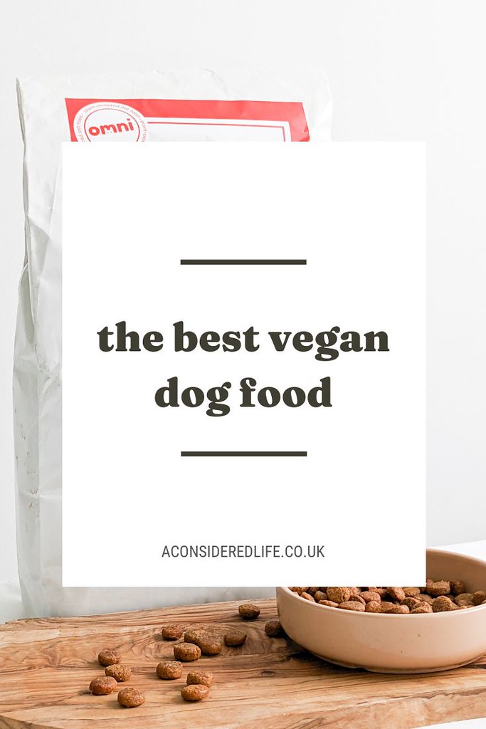 Sustainable Plant-Based Dog Food Brands