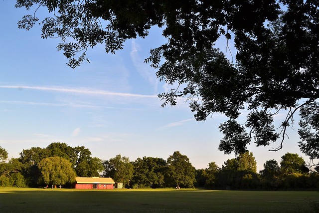 Clayfield Copse