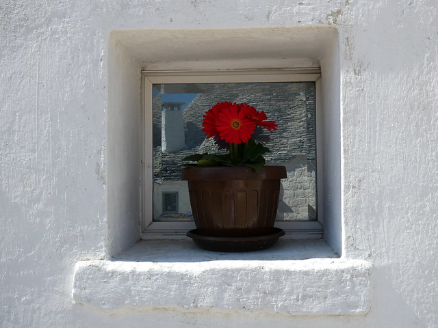 Wednesday Colours - A Small Window in Alberobello