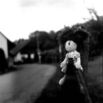 lonely  doll &lt;a href=&quot;https://adlg.cz/&quot; rel=&quot;noreferrer nofollow&quot;&gt;WEB&lt;/a&gt; | &lt;a href=&quot;https://blog.adlg.cz&quot; rel=&quot;noreferrer nofollow&quot;&gt;Blog&lt;/a&gt; | &lt;a href=&quot;https://adlg.cz/donate&quot; rel=&quot;noreferrer nofollow&quot;&gt;Donate&lt;/a&gt; | &lt;a href=&quot;https://www.patreon.com/adlgcz&quot; rel=&quot;noreferrer nofollow&quot;&gt;Patreon&lt;/a&gt;

 
 
 
Found on my way to home from work
 
 
Shoted with my TwinLens Reflex Camera Meopta Flexaret VII on film 120 Foma Fomapan 100 in format 6x6 and developed in Foma Fomadon R09. Scan with Canon Canoscan 9950F in original film holder, EXIF information added from &lt;a href=&quot;https://play.google.com/store/apps/details?id=com.tommihirvonen.exifnotes&amp;amp;hl=en&amp;amp;gl=US&quot; rel=&quot;noreferrer nofollow&quot;&gt;ExifNotes&lt;/a&gt; via &lt;a href=&quot;https://exiftool.org/&quot; rel=&quot;noreferrer nofollow&quot;&gt;ExifTool&lt;/a&gt;
 

---------------------------------------
I love film photography most. I started to shoot on the film when i was 12 yo. after my high school I photographed on digital and in 2020 i came back to the film.
If you like my work and want to support me, Thank you and go to &lt;a href=&quot;https://adlg.cz/donate&quot; rel=&quot;noreferrer nofollow&quot;&gt;adlg.cz/donate&lt;/a&gt;
All my photos are in same license, see the info on the site. If you like to use my photo outside of this license pleas write me message with your offer and plan.


Quickly view my MediumFormat &lt;a href=&quot;https://flic.kr/s/aHBqjzTXE8&quot; rel=&quot;noreferrer nofollow&quot;&gt;6x6&lt;/a&gt; or &lt;a href=&quot;https://flic.kr/s/aHsmSxMBYu&quot; rel=&quot;noreferrer nofollow&quot;&gt;645&lt;/a&gt; | &lt;a href=&quot;https://flic.kr/s/aHBqjzTVUR&quot; rel=&quot;noreferrer nofollow&quot;&gt;35mm&lt;/a&gt; | &lt;a href=&quot;https://flic.kr/s/aHBqjzTWjF&quot; rel=&quot;noreferrer nofollow&quot;&gt;360degrees&lt;/a&gt; photography