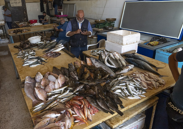 Fishes in the local fish market, North Governorate, Tripoli, Lebanon