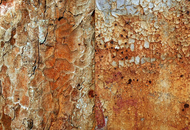 Abstract diptych of the bark of a Chestnut tree combined with a sign of cracked paint and rust (22 x 32)