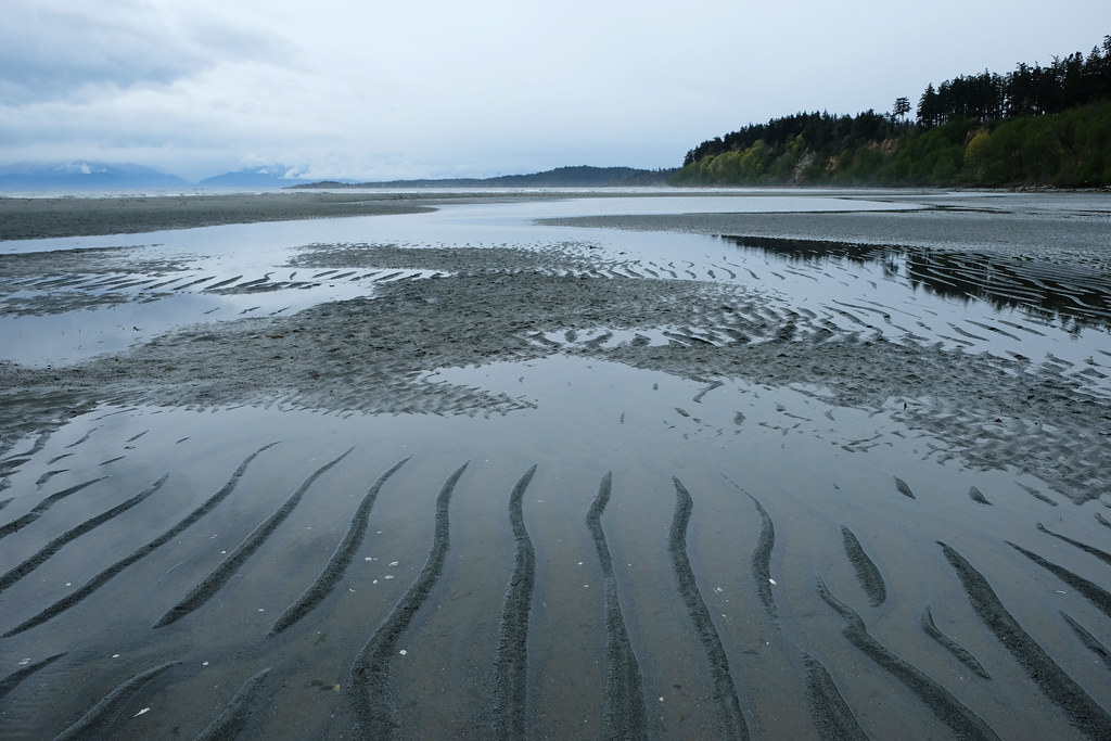Witty's Beach, Vancouver Island, BC, Canada