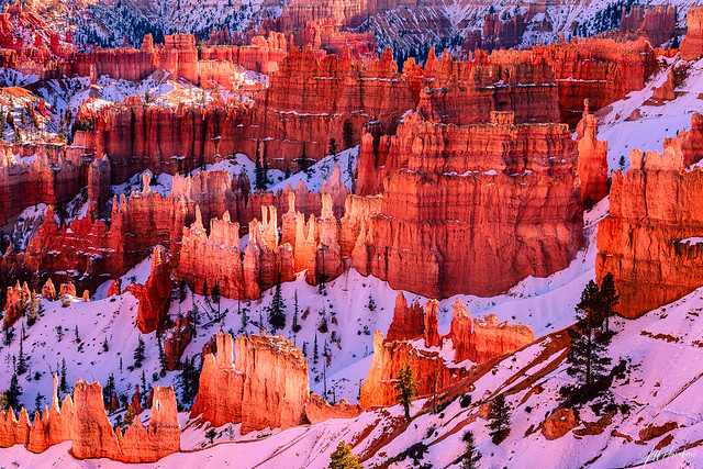 Winter In Bryce Canyon