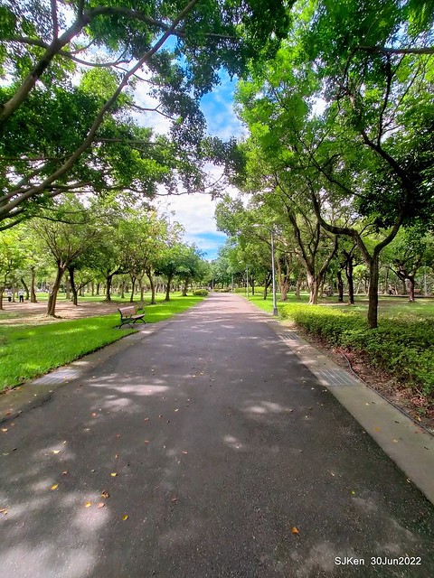 大安森林公園(Daan Forest Park), Taipei, Taiwan, SJKen, Jun 30, 2022.