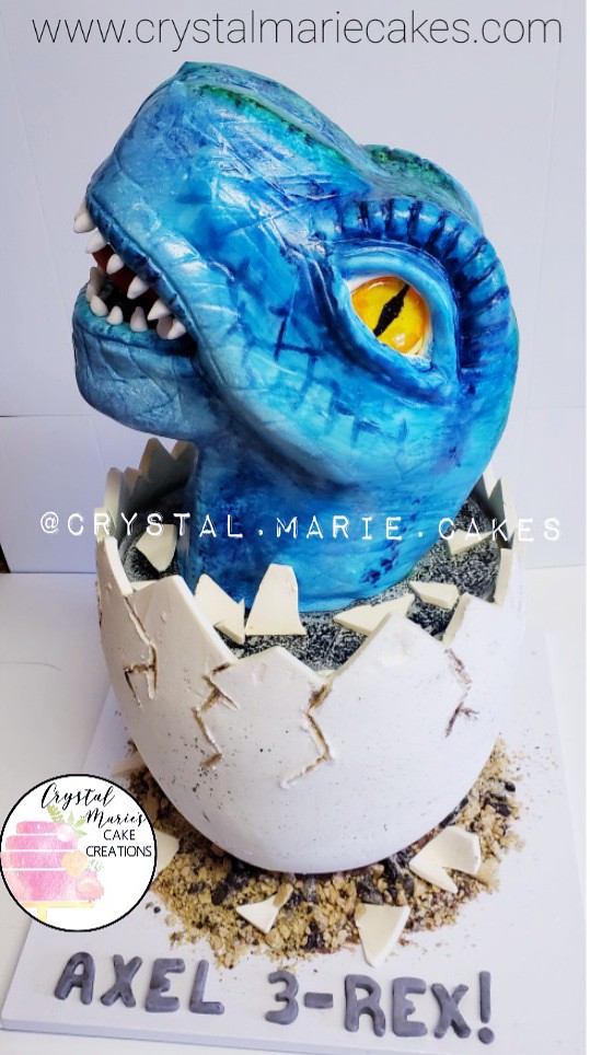 Dino & His Egg by Crystal Marie's Cake Creations LLC