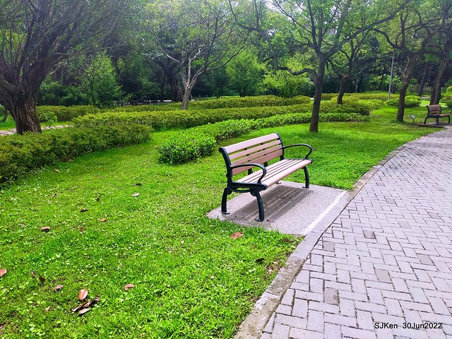 大安森林公園(Daan Forest Park), Taipei, Taiwan, SJKen, Jun 30, 2022.