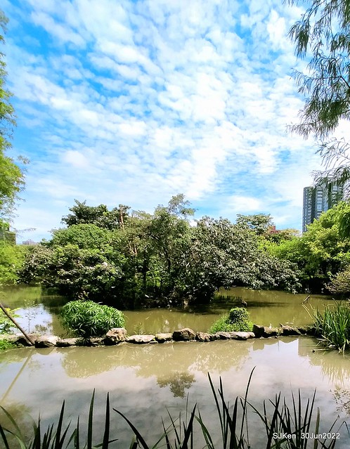 大安森林公園(Daan Forest Park), Taipei, Taiwan, SJKen, Jun 30, 2022.