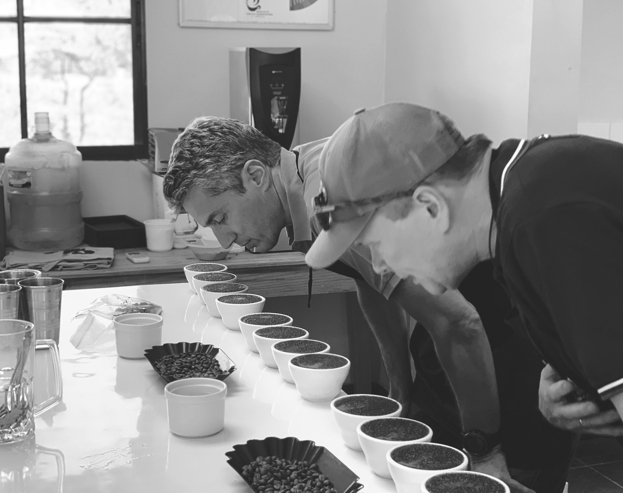 The Development And History Of Coffee Cupping - Helena Coffee Vietnam