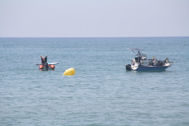 Avistamiento de tiburones en Sitges