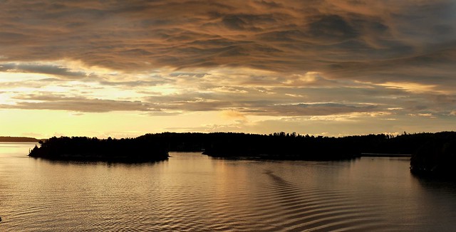 Catching the morning sunlight, Stockholm (3).Lumix DMC_FZ1000. P1310199(2)
