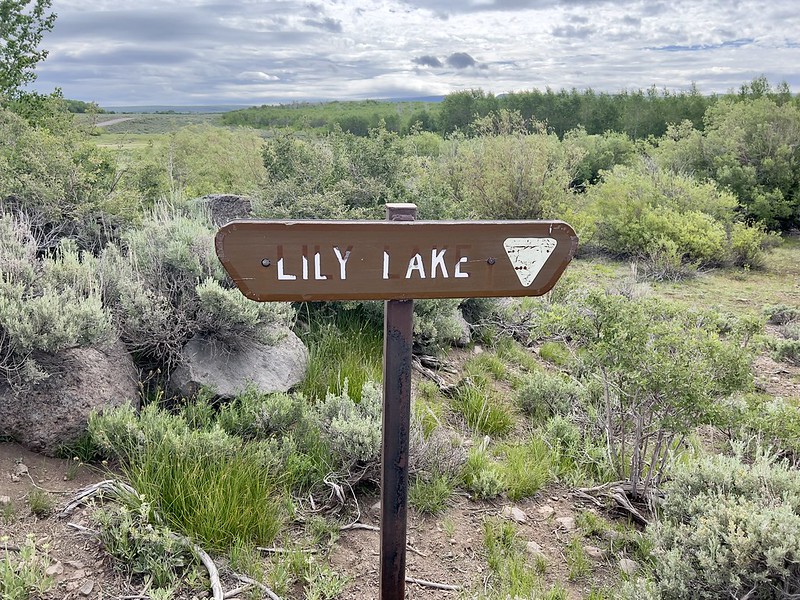 Lily Lake Campground