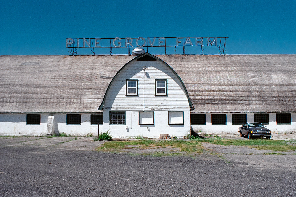 Pine Grove Farm 02