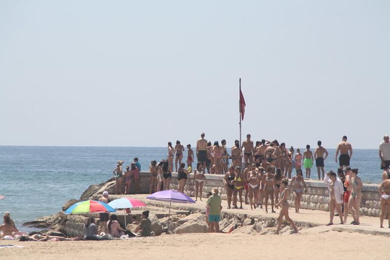 Dos tiburones obligan a prohibir el baño en 4 playas de Sitges