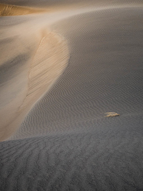 Textures, Dawn's Light - Death Valley National Park (2022)