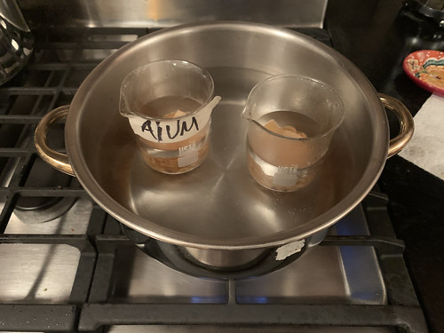 Overhead shot of two beakers with water inside them, positioned in a pot that is half full of water. The pot is on a stovetop which has its burner on. The left beaker is labeled ALUM