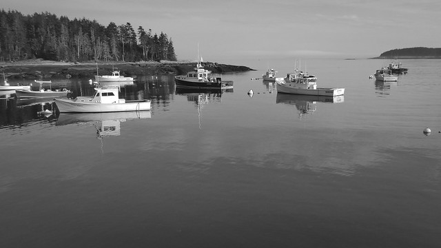 lobster boats, harbor, Spruce Head, Maine, Panasonid Lumix DMC-ZS50, 7.14.22