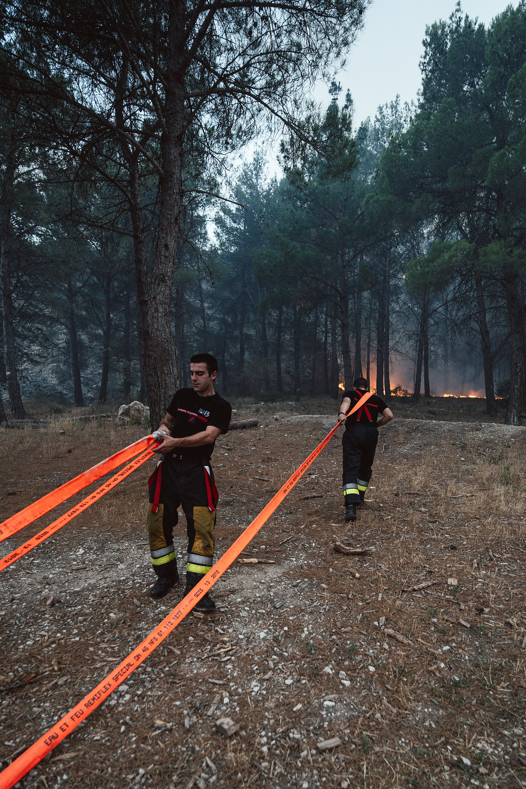 Opérations : feu de forêt dans le massif de la Montagnette