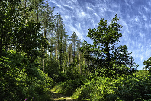 The path up | by __martin66__