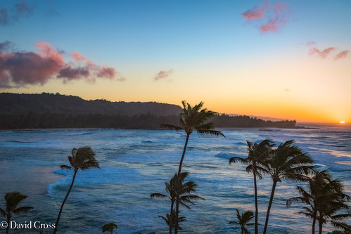 turtlebay landscape sunset lightroomclassic pacificocean topazstudio20 canonef24105mmf4lisusm seascape oahu palmtrees hawaii canon5dmarkiii northshoreoahu