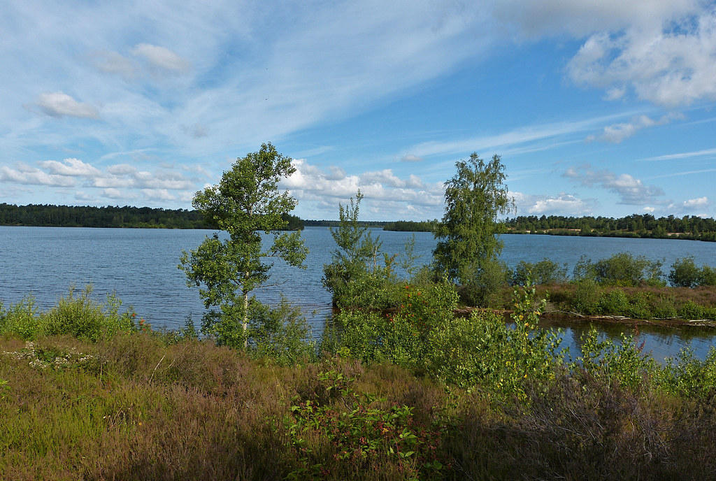 Reindersmeer in Nationaal Park De Maasduinen