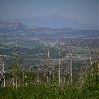 Mancos in the distance SR602076 (2)
