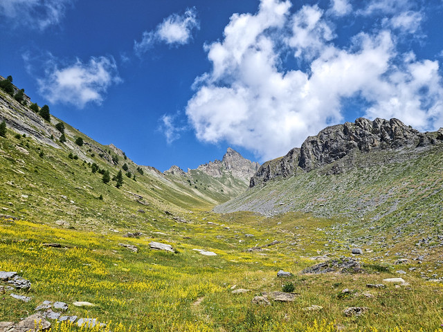 The colors of mountains (Colle della Maddalena)