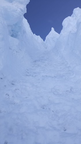 IMG-20220711-WA0032