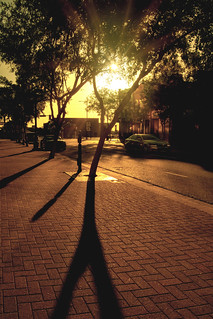 Long Shadows on Texas Street