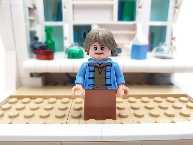 LEGO Star Wars Lars Family Homestead Kitchen (40531)