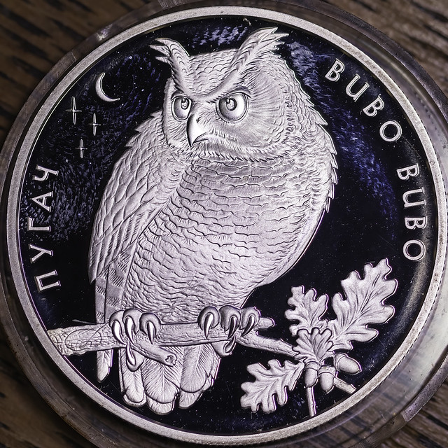 Eurasian Eagle-Owl_8254