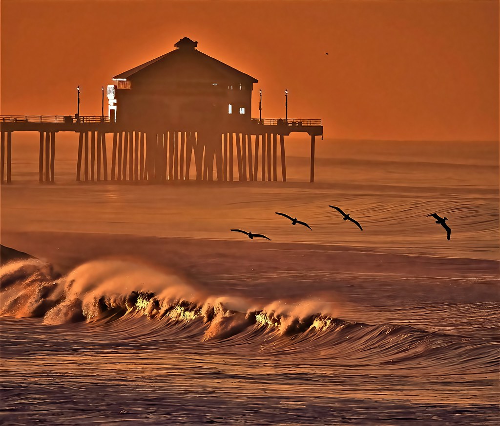 Pier Huntington Beach-Sunrise_Pelicans__explore