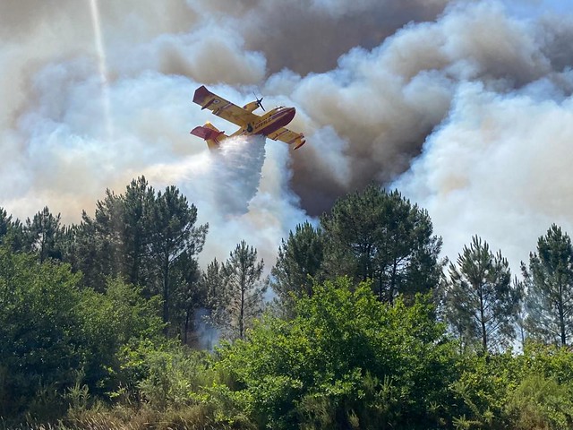 Incendios castigan Francia y España en plena ola de calor