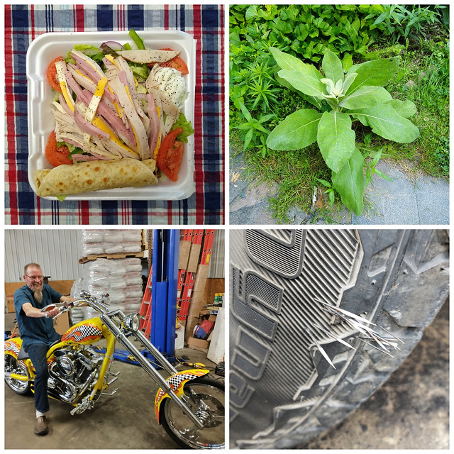 A Huge Chef's Salad, Mullein, Ken on the Chopper, Porcupine Quills in the Truck Tire
