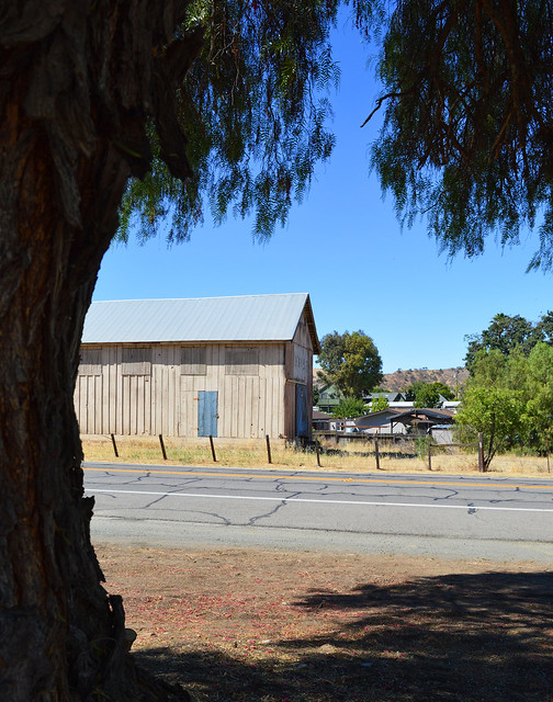 Old Barn and Pepper Tree