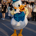 Donald Duck -Tokyo Disney Land 2022 (Urayasu, Chiba, Japan)