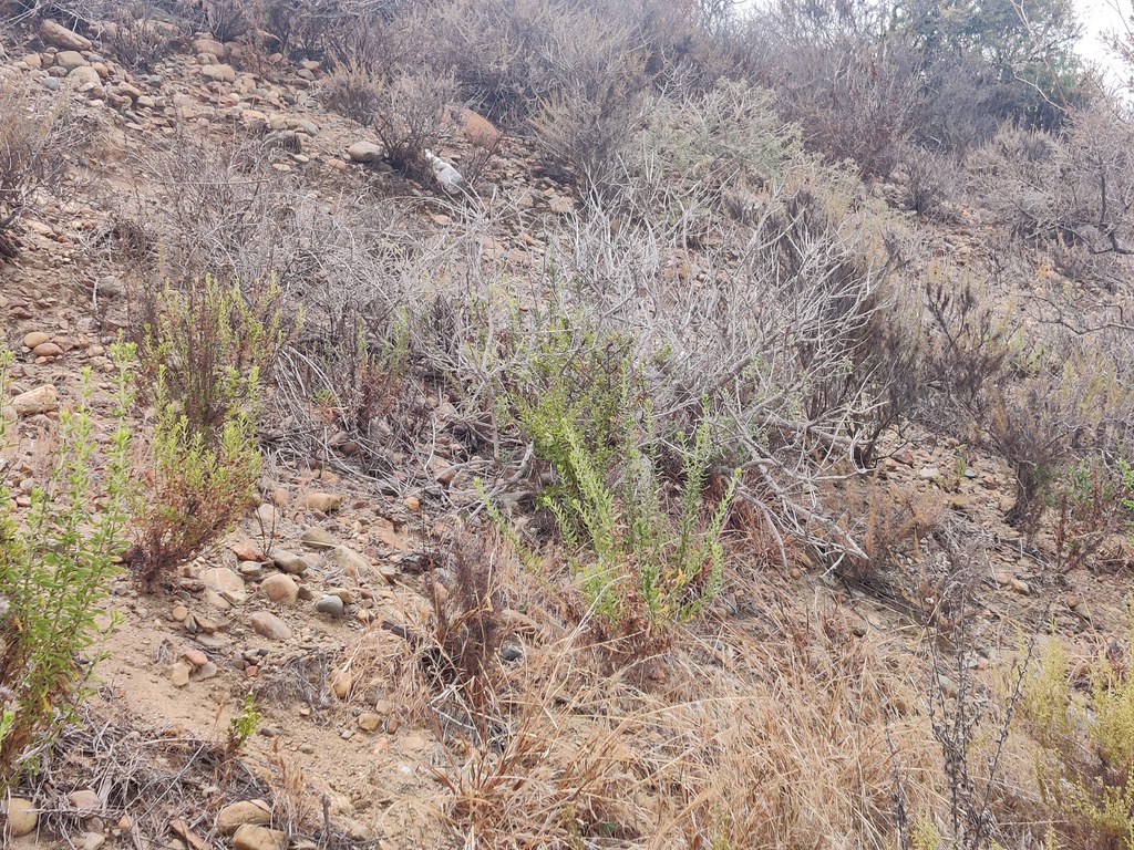 Panhe Nature Trail, near Halloween Night Hike