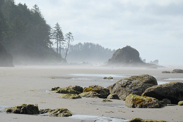 Second Beach of La Push looking south