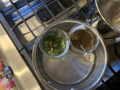 Overhead shot of same two beakers in pot of boiling water, each beaker contains colored yarn submerged in water (greenish on left, brownish on right)