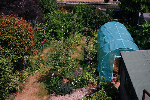 Looking Down on the Back Garden - July 2022