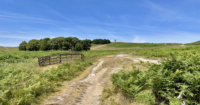 Bradgate Park Leicestershire 11th July 2022