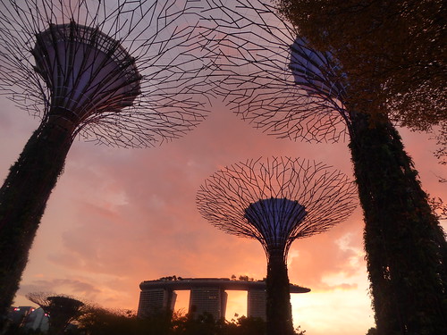 sunset garden bay marina singapore supertree tree grove