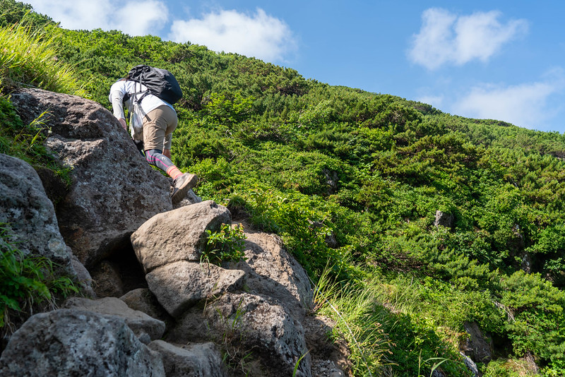 羅臼岳の大沢