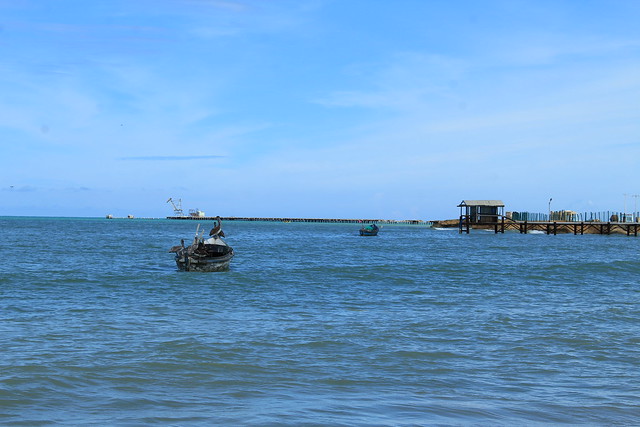 Pelicanos, Manaure