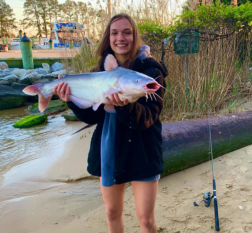 Photo of young woman holding a blue catfish