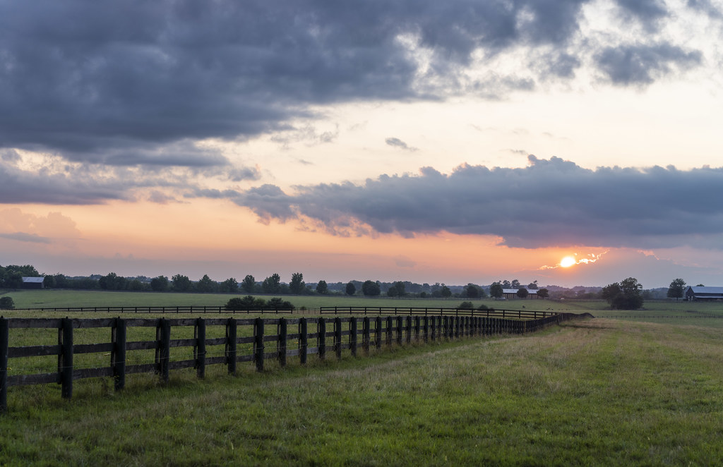 Long Kentucky Fence