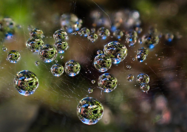A cobweb droplet universe