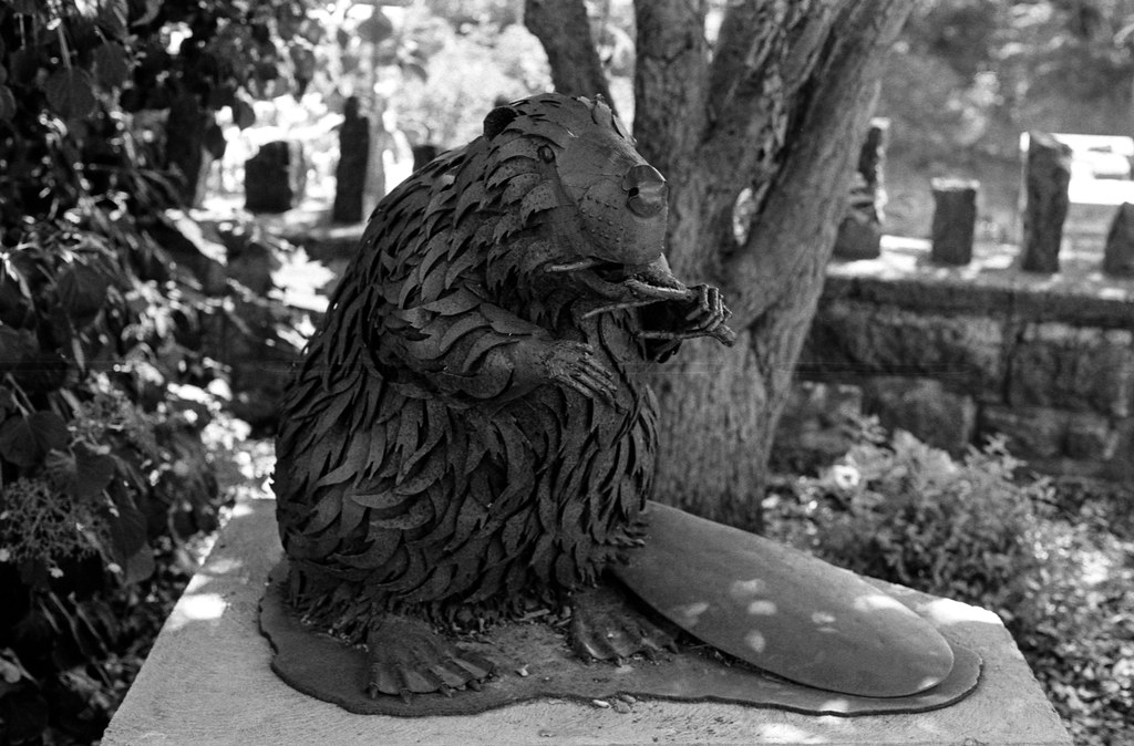 Beaver Sculpture