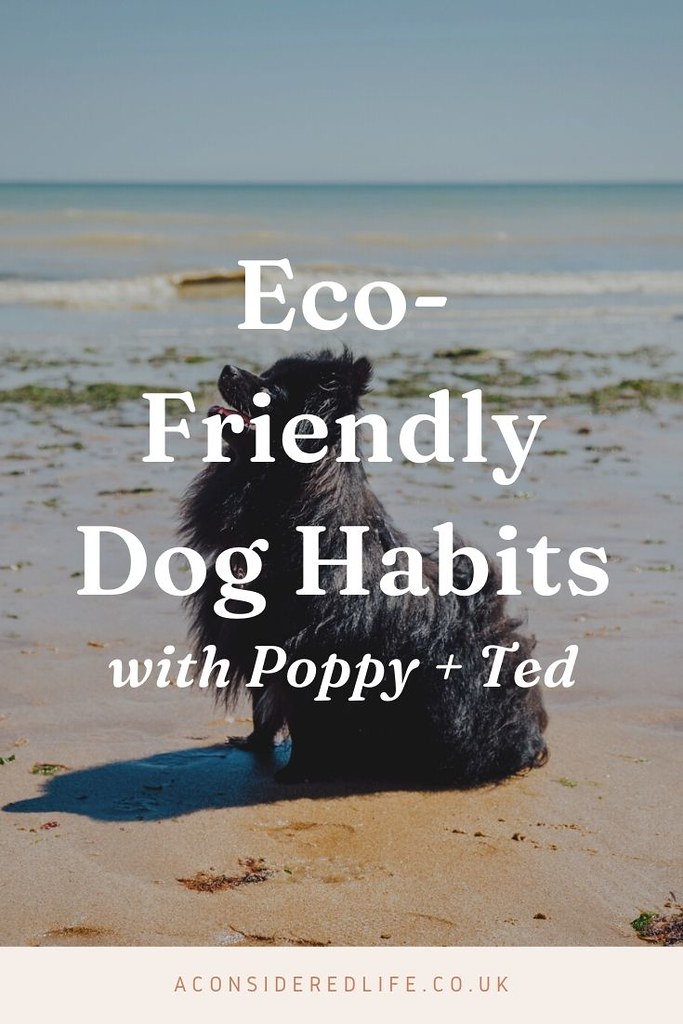Eco-Friendly Dog Habits with Poppy + Ted